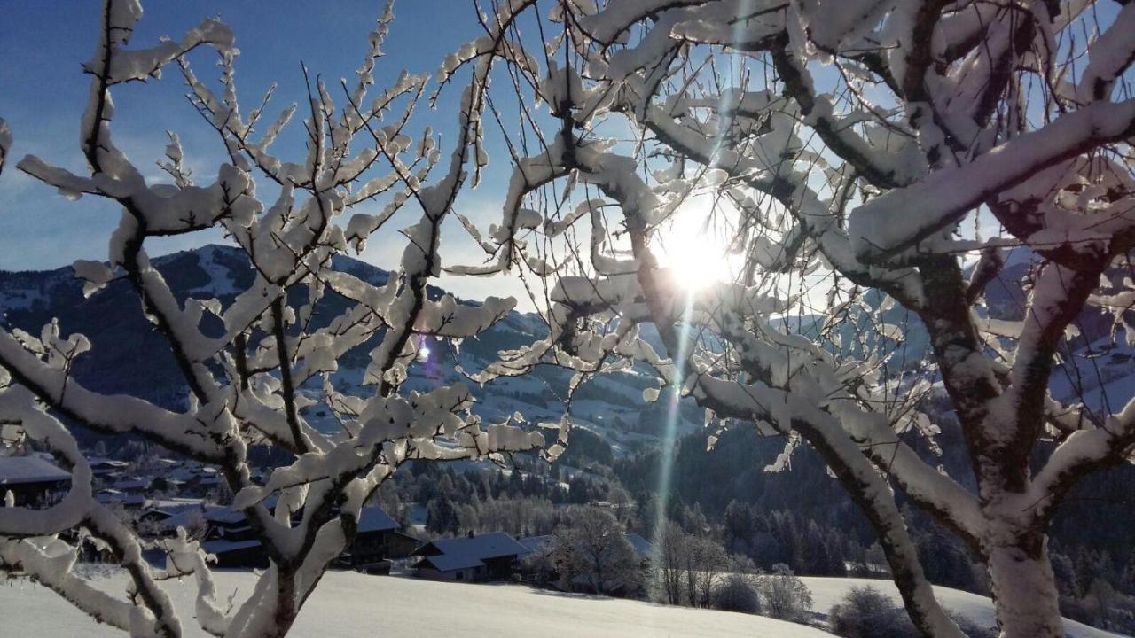 Aussermoos-Zuhaus Alpbach Exterior foto
