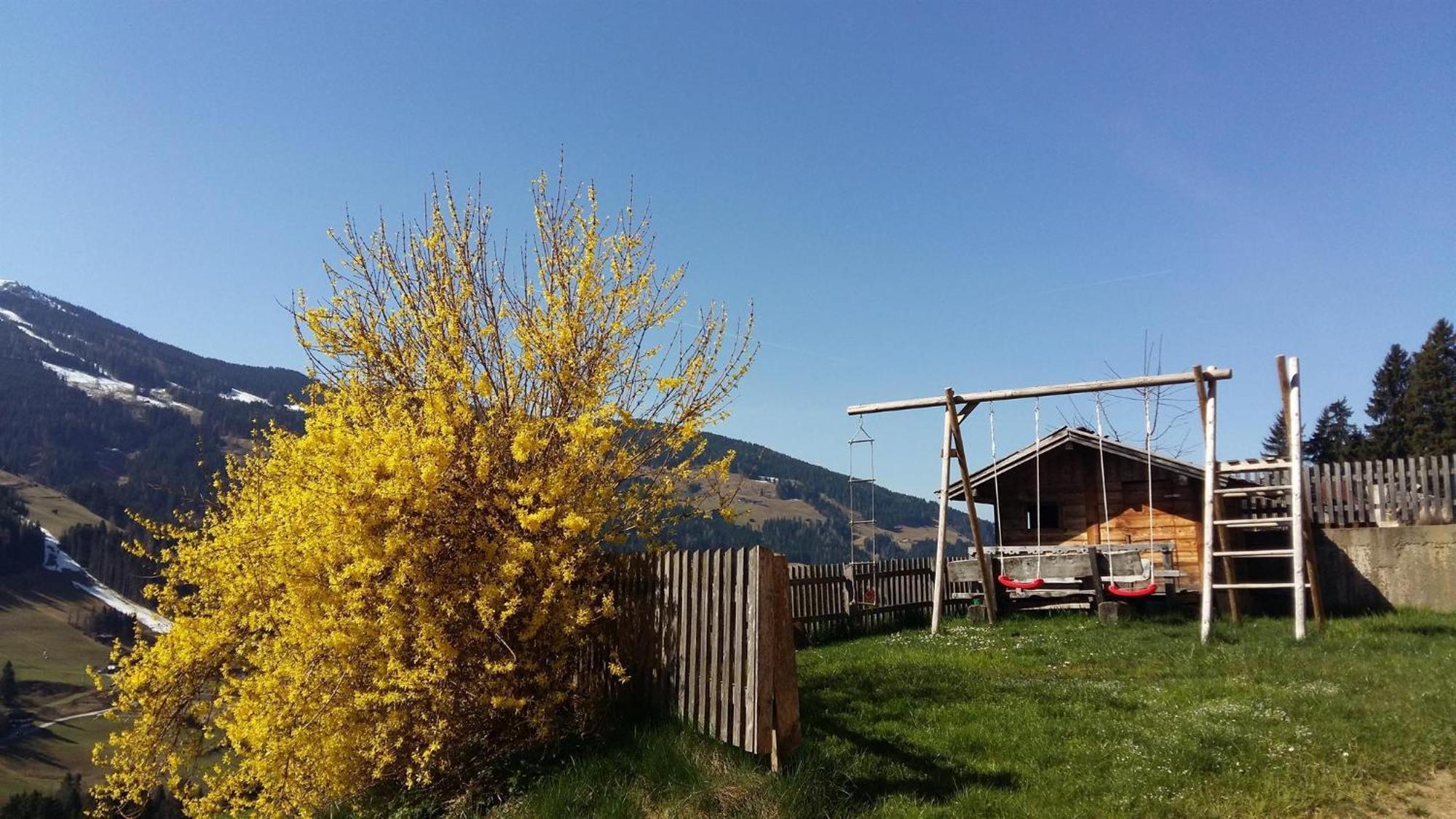 Aussermoos-Zuhaus Alpbach Exterior foto